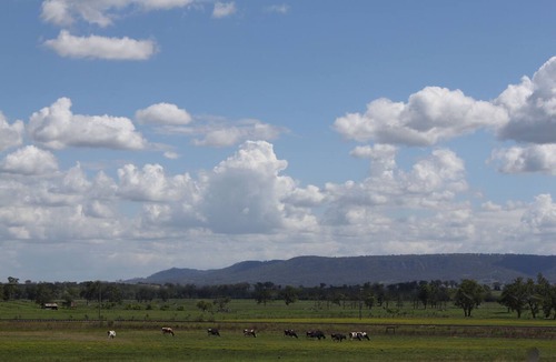 Scone Hotel | Isis Motel Scone