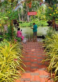 Ettumanoor Hotel | Kgees Homestay Pool & Hall near Medical College Arpookara Kottayam