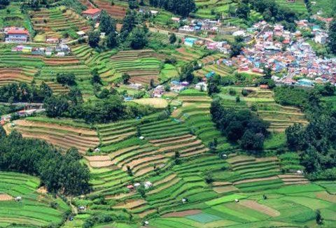 Periyur House | KGX HOME STAY Vattavada Oorkad