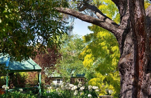 Hepburn Springs Cottage | Lucini Cottage- wood fire and stunning bush views