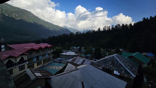 Old Manali Hostel | Manali Mountain View Hotel - Balcony, Garden & Parking