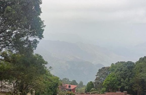Vattakanal Villa | Mango Tree