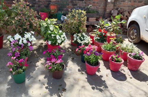 Purwa House | Manish Kumar Home Stay