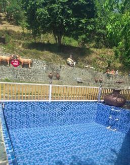 Chakrata House | Mero Gaon Homestay