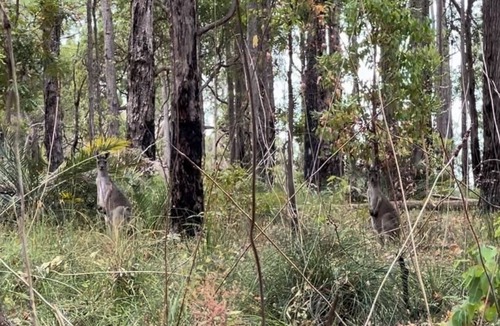 Dwellingup House | Milltree Cottage Getaway