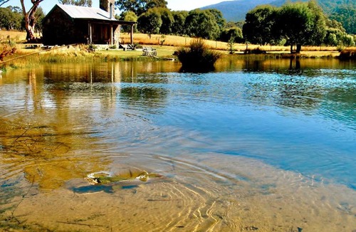 Moonbah Cabin | Moonbah Huts