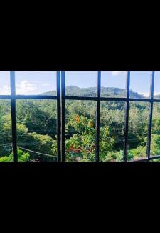 Yercaud House | MScottage