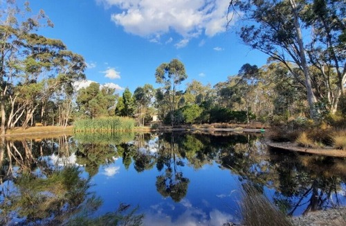 Muckleford Cottage | Muckleford Forest Cottage - Quiet bush stay with dam, pizza oven & wood fire