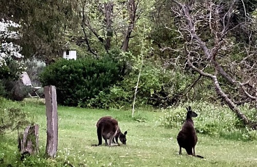 Margaret River House | Naturescape | Private | Family Friendly