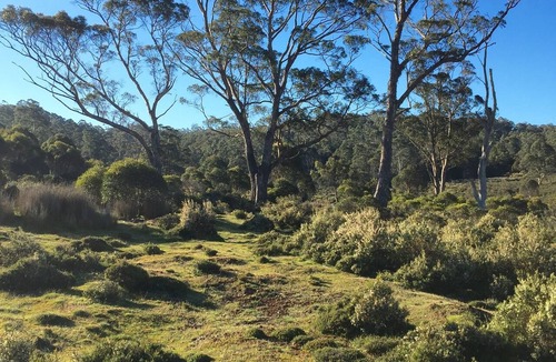Cradle Mountain House | Newly-restored Cradle Mt house 12min to Nat Park