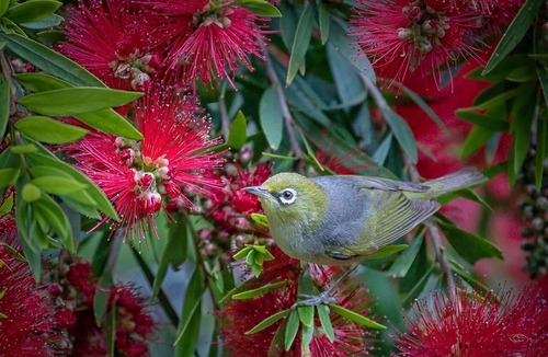 Wye River House | Ocean Magic - Where The Bush Greets The Sea