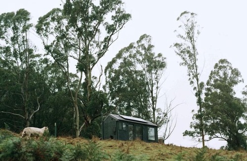 Hallston House | Off-Grid Cabin Surrounded by Nature - Hot Tub - Arlo