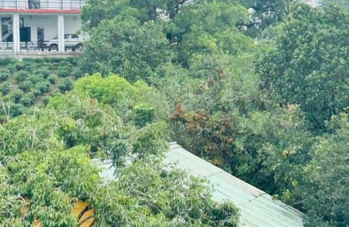 Vagamon House | Peace villa