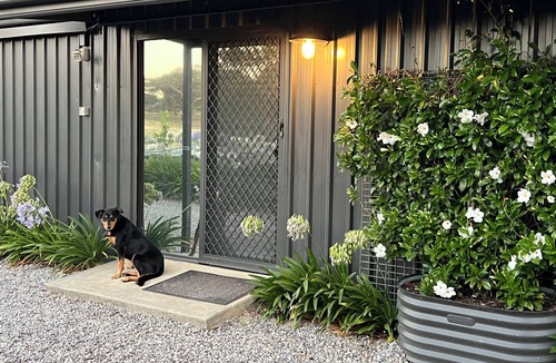 Mount Barker Apartment | Peaceful studio located on 5 acres in central Mount Barker, 8 mins walk to shops