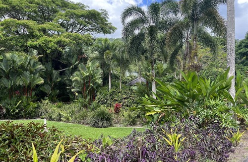 Finlayvale House | Rainforest Estate luxury Stay
