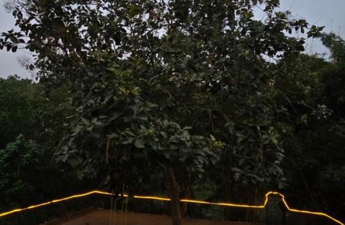 Neyyattinkara Villa | Riverine Stay with your Dreams