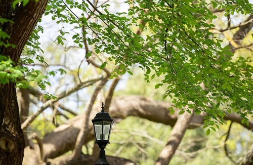 Kalorama Cottage | Romantic Honeymoon Getaway