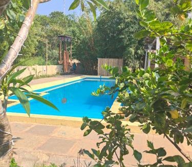 Arambol Resort | Rusta wellness and retreat center