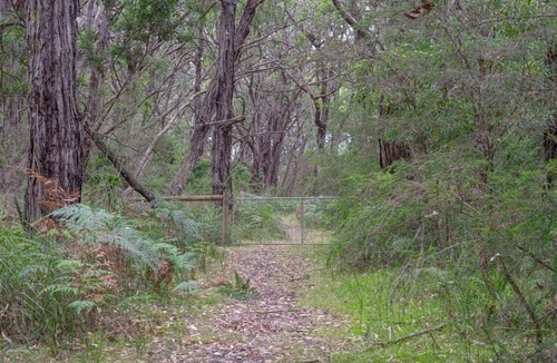 Balnarring House | Seclusion, Tram, Native Bush, Wineries, Beaches, Melbourne Icon, Village nearby