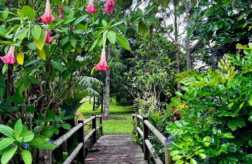 Illinbah Apartment | Self contained room in a relaxing farm, lots of view, pet friendly