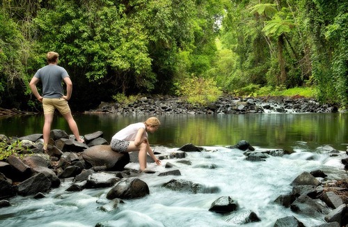 Malanda Bed & Breakfast | Sharlynn by the River