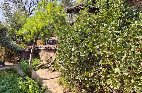 Ajaigarh House | Shiv Gopal Home stay