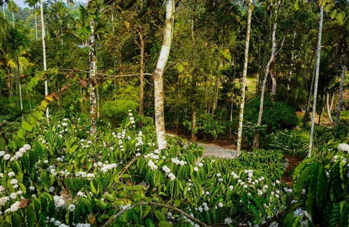 Krishnagiri Resort | Skyleaf Resort