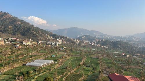 Una Bed & Breakfast | Slow living, Solan
