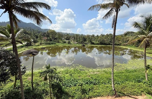 Kalpetta Apartment | SOUPARNIKA LAKEVIEW HOMESTAY LLP
