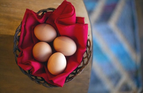 Lilydale House | Spend a weekend or even a week in the Yarra Valley. Wine, food, gardens + more.