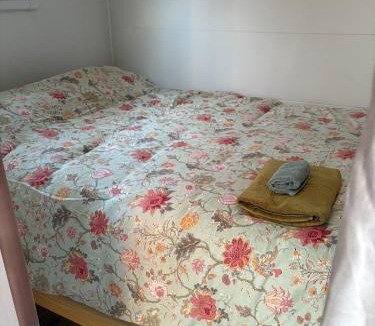 Taree Apartment | Taree CBD Tiny backyard POD