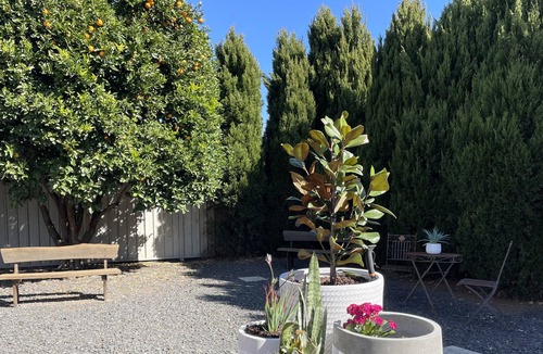 Scone House | The Cedars | Scone