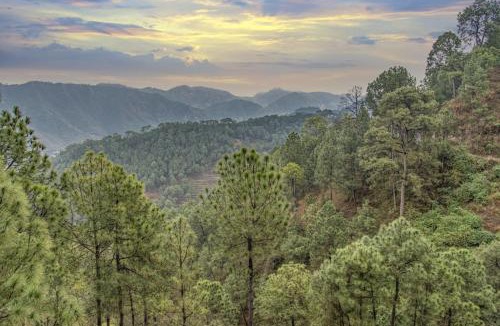 Dharampur Apartment | The Rajmahal Retreat I Jacuzzi I Vacations l Pet friendly & 3 Bedroom Villa I Family Events I Sky Bonfire I Kasauli By Exotic Stays