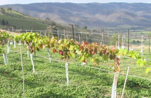 Beechworth House | The Vision Splendid Beechworth 7km out of Beechworth town