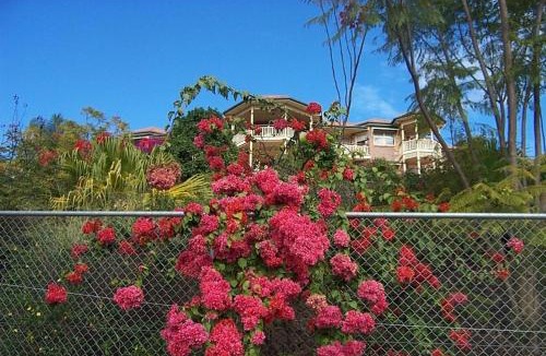 Ormeau House | Tranquil Garden Hideaway