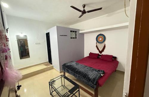 Arambol Hotel | Trippy Turtle
