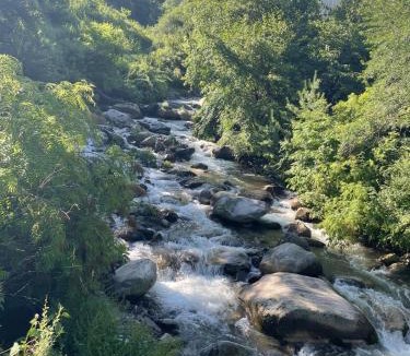 Rohru House | Trout & Pines Retreat