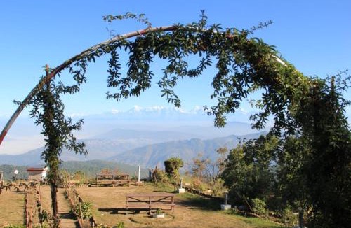 Mukteshwar House | Vineet Homestay