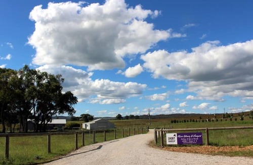 Buckaroo Apartment | Winery Studio on Scenic Acreage
