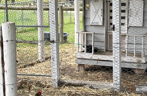Dixons Creek Cottage | Yarra Fox Farm Farmstay in the heart of the Yarra Valley winery region.