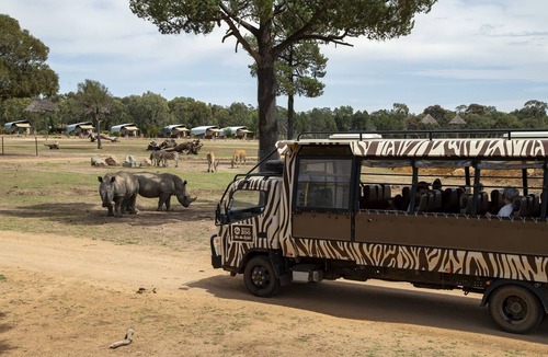 Dubbo Cabin | Zoofari Lodge at Taronga Western Plains