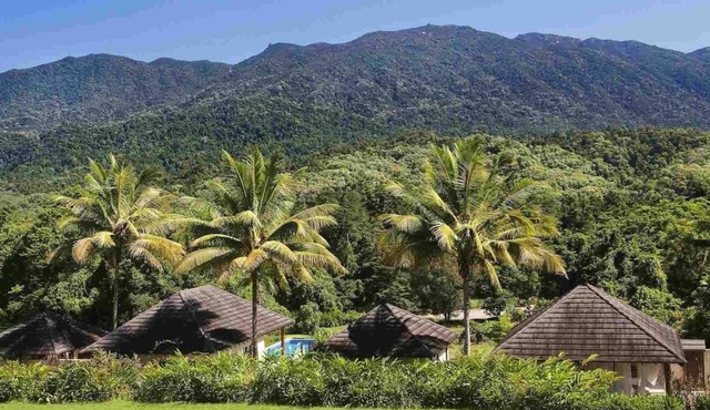 Bali Hai A private retreat on acreage, close to town, ocean & the rainforest in Miallo