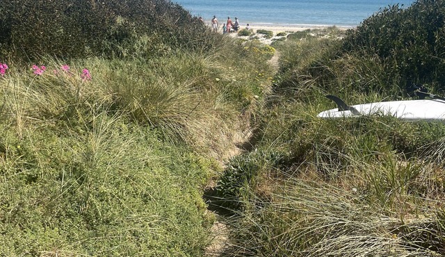 Beach Front Apartment in Aspendale