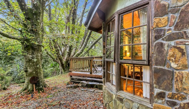 Beech - 2 Perrins Creek Rd Olinda in Yarra Ranges