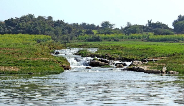 Bhadrawati Safari Ranthambore Resort in Khandar