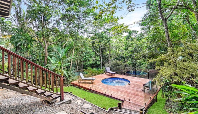 Bindi Treehouse - Secluded Rainforest Pet Friendly Retreat in a Stunning Treehouse in Brinsmead
