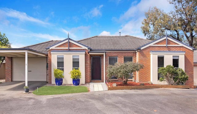 Blue Bird Villa - Hamilton. in Hamilton