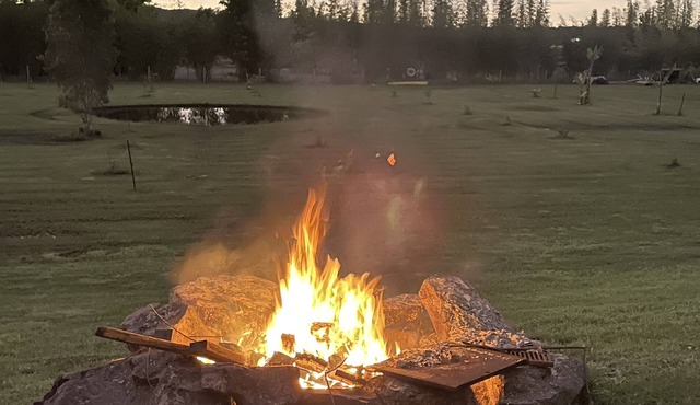 Camp in comfort, 10 min to the beach. Pet friendly in Maroochy River
