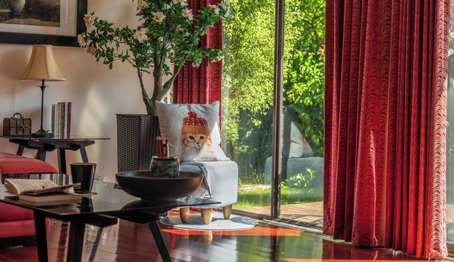 Central & Tranquil Home + Private Studio in Inner South Canberra in Narrabundah
