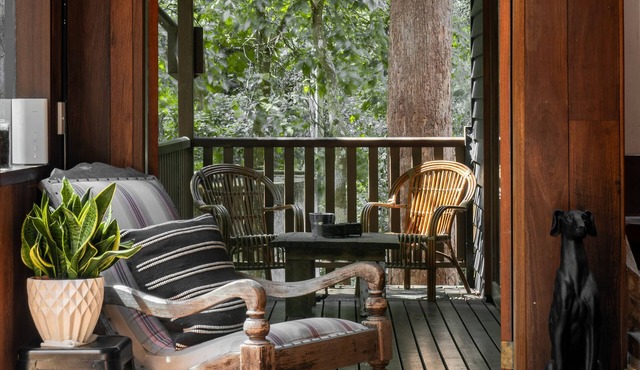 Character filled chalet at Springbrook National Park, Queensland Australia in Springbrook